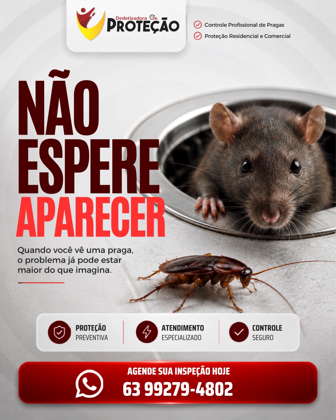 Dedetizadora Proteção - banner 1